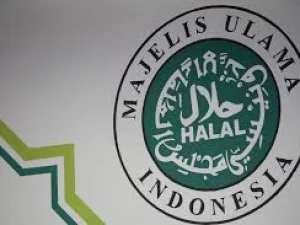 Toleransi vs Intoleransi di Pilpres 2019