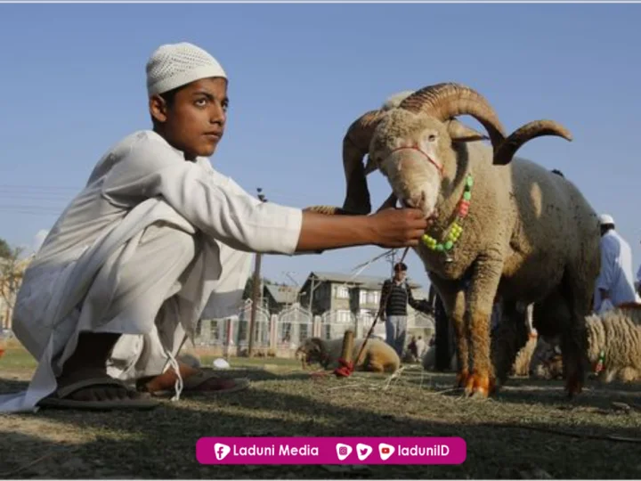 Menyoal Qurban untuk Orang yang Telah Meninggal