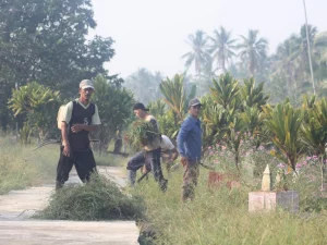 Jelang Idul Adha, Mahasiswa KKL IAIN Pontianak Ajak Warga Bersihkan Makam