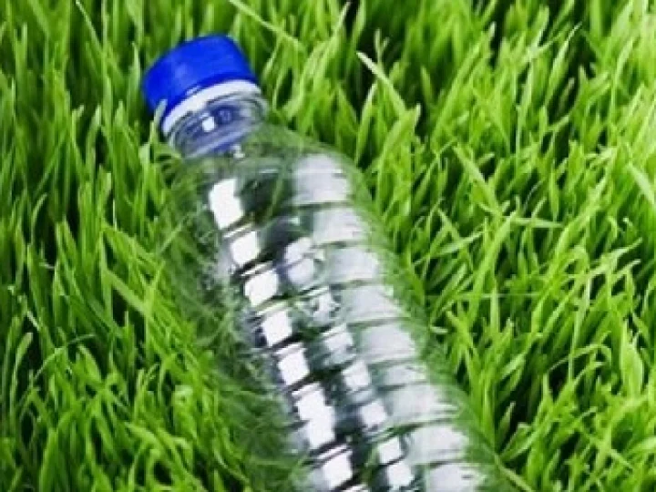 Bioplasga: Plastik Ramah Lingkungan Dari Selulosa Rumput Gajah
