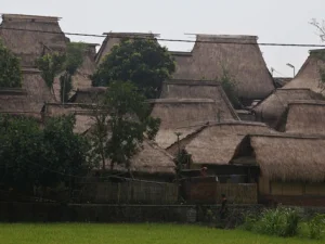 Tahan Gempa, Sejumlah Rumah Adat di Lombok Masih Utuh