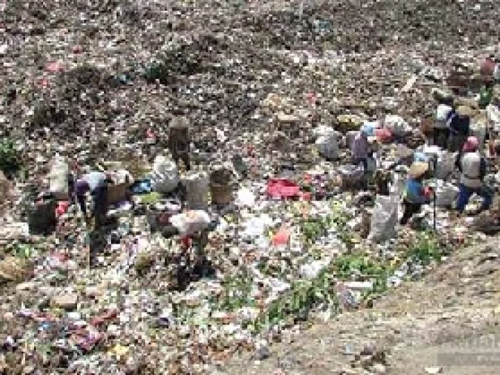 Menyulap Sampah Organik Menjadi Pupuk Organik