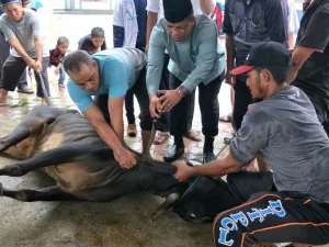 Wali Kota Shalat Ied dan Berqurban di Masjid Babussalam Lampaseh Aceh