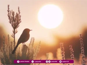 Yakin dan Tawakkal seperti Hati Seekor Burung