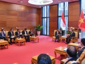 Indonesia Buka Peluang Kerjasama Ekonomi Kreatif dan Digital dengan Vietnam 