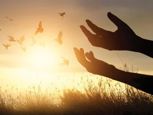 Ego SPiritual