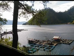 Danau Laut Tawar #3: Sang Pemuda Taat Unok dan Shalat Jum'at Ke Mekkah
