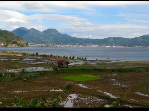 Danau Laut Tawar #5: Rumah Satwa Langka dan Sang 