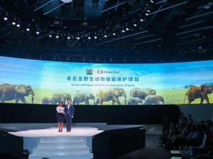 Teknologi Ciptaan Alibaba Bantu Kenya Lindungi Satwa Liar