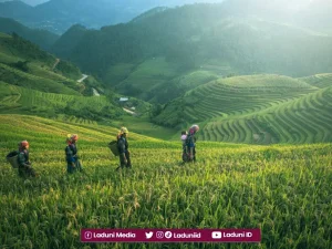KH. Zainul Arifin dan Reformasi Agraria