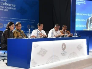 Menteri Keuangan Tegaskan Indonesia Tidak Akan Pinjam Dana Dari IMF