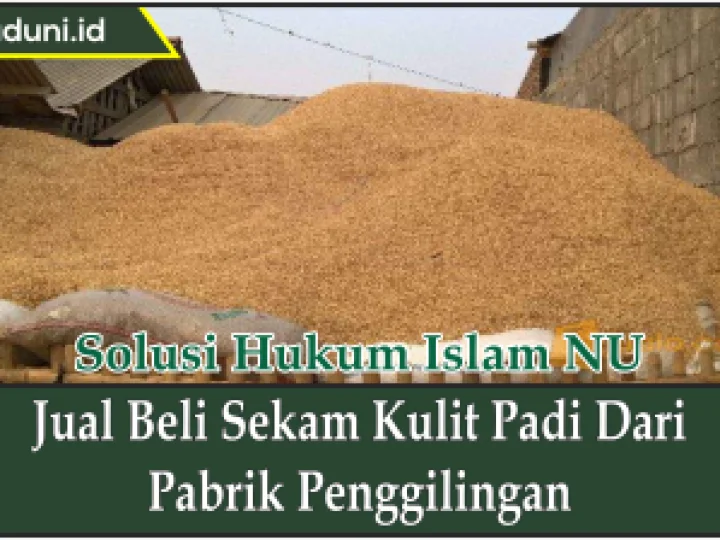 Jual Beli Sekam Kulit Padi dari Pabrik Penggilingan