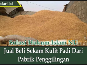 Jual Beli Sekam Kulit Padi dari Pabrik Penggilingan