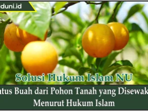 Status Buah dari Pohon Tanah yang Disewakan Menurut Hukum Islam
