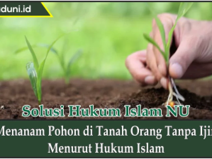 Menanam Pohon di Tanah Orang Tanpa Ijin Menurut Hukum Islam