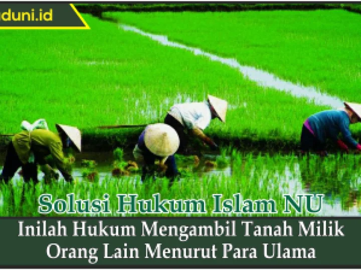Inilah Hukum Mengambil Tanah Milik Orang Lain Menurut Para Ulama