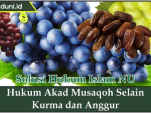 Hukum Akad Musaqoh Selain Kurma dan Anggur