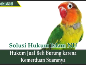 Hukum Jual Beli Burung karena Kemerduan Suaranya