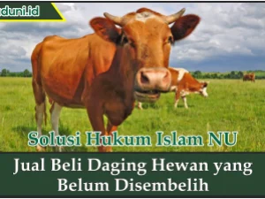 Jual Beli Daging Hewan yang Belum Disembelih