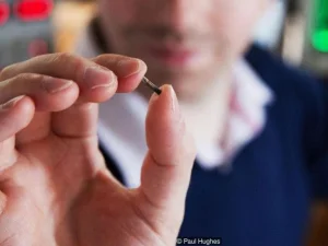 4000 Lebih Warga Swedia Tanam Microchip di Tubuhnya, Untuk Apa?