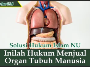 Inilah Hukum Menjual Organ Tubuh Manusia