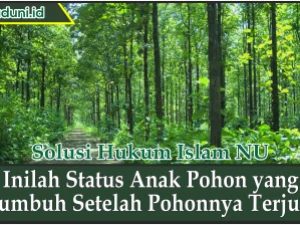 Inilah Status Anak Pohon yang Tumbuh Setelah Pohonnya Terjual