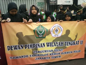 Menpora RI Berharap Pencak Silat Masuk Olimpiade Tokyo Tahun 2020