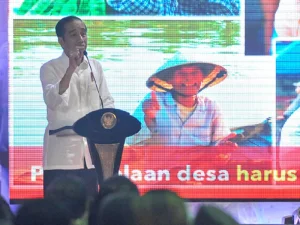Jokowi Minta Dana Desa Digunakan untuk Pemberdayaan Ekonomi dan Paud 