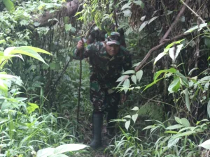 Dansatgas TMMD Terobos Hutan Bener Meriah