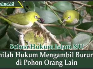 Inilah Hukum Mengambil Burung di Pohon Orang Lain