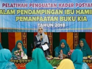 Kader Posyandu harus Aktif Lakukan Pendampingan Ibu Hamil