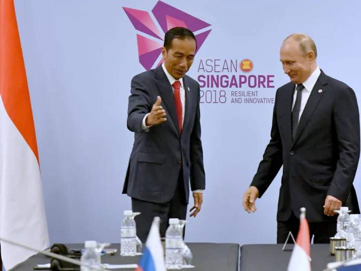 Bertemu Putin, Jokowi Ingin Target Perdagangan 5 miliar dollar AS Kedua negara Tercapai Tahun 2020