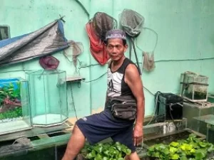 Hanya dari Jualan Aquarium, Pria ini Hasilkan 15 Juta per Bulan