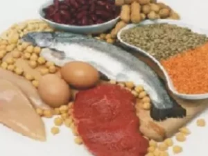 Lima Sumber Protein Terbaik untuk Keberhasilan Diet