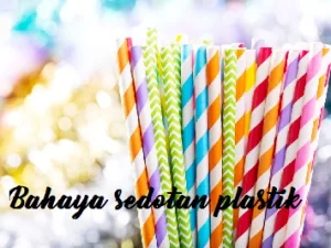 Bahaya Sedotan Plastik Ancam Bumi dan Perairan Global