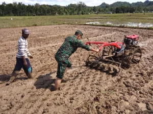 Bantu Petani, Serka Taufik Ikut Turun Bajak Sawah