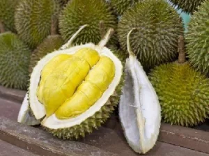 Buah Durian Menjadi Salah Satu Komoditas Eksport Terfavorit Dunia