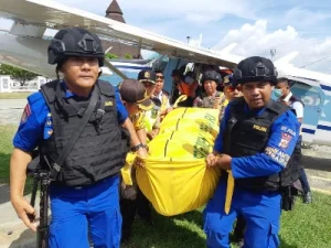 Kronologi Tewasnya Prajurit TNI yang Menjadi Korban Penembakan oleh KKB