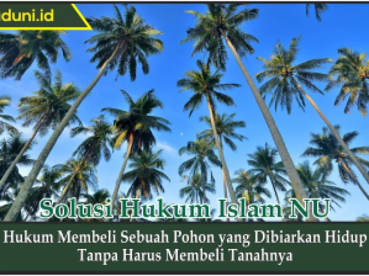 Hukum Membeli Sebuah Pohon yang Dibiarkan Hidup Tanpa Harus Membeli Tanahnya
