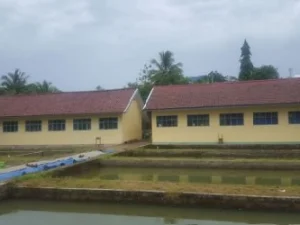 SMK NU Nurul Mursyidah, Pandeglang Banten