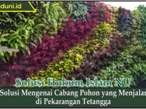 Solusi Mengenai Cabang Pohon yang Menjalar di Pekarangan Tetangga