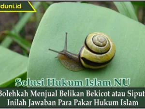 Bolehkah Menjual Belikan Bekicot atau Siput?