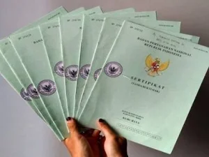 Mendapat Sertifikat Tanah, Kades Ringinputih Ajak Warga Bersyukur