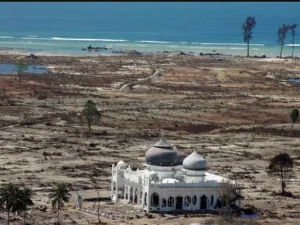 Peringatan 14 Tahun Tsunami di Aceh akan Dihadiri Tokoh Ini