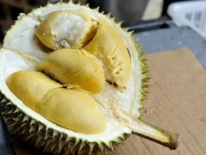 Makan Durian Bisa Kolesterol dan Demam Tinggi, Benarkah?