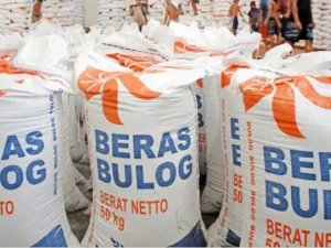 Target Serapan Beras Bulog Diturunkan