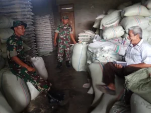 Babinsa Datangi Para Pemilik Penggilingan Padi