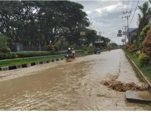 Banjir Berlanjut di Aceh Tenggara, Ribuan Rumah Terendam, Dua Jembatan Putus