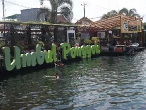 10 Desa Penyumbang Pendapatan Terbesar Berkat Pemanfaatan Dana Desa, Mana Saja?