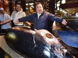 Termahal Sedunia, Seekor Ikan Tuna Terjual Rp 44,9 Miliar
